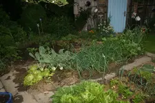 Juni  0122.webp