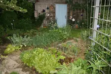Juni  0222.webp