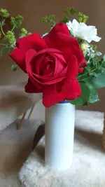 20220604_095802.webp