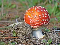 IMG_7684 v (2).webp
