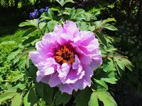 DSCF5161 (2).webp