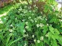DSCF5162 (2).webp