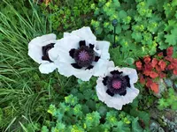 DSCF5158 (2).webp