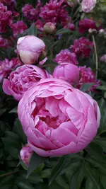 20190609_180107.webp