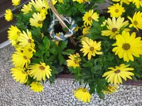 IMG_20220527_104939_1.webp