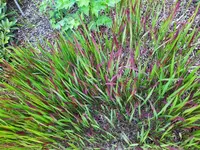 IMG_20220527_172419_1.webp
