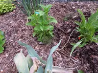 SAM_3456.webp