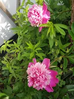 20220604_093516.webp