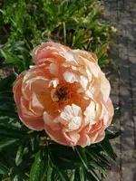 20220604_093729.webp
