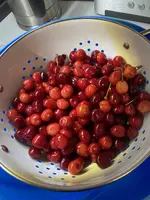 IMG_0954(1).webp