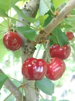 IMG_20220530_172028.webp