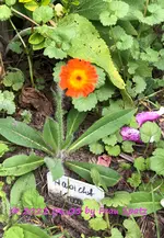 IMG_3178.jpg IMG_3178.jpg