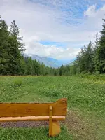 20220606_114913.webp