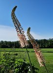 20220606_082622.jpg