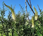 20220606_082729.jpg