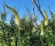 20220606_082729.jpg