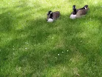 IMG_20220606_153455_1.webp IMG_20220606_153455_1.webp