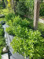 20220606_181956.webp