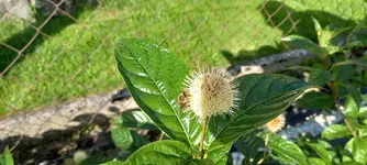 20210810_174444.webp