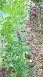 20220606_163125.webp