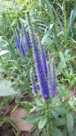20220606_163038.webp