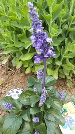 20220606_163008.webp