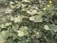 IMG_20200920_164555.webp