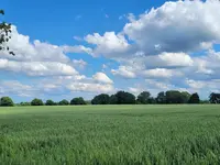 IMG-20220606-WA0005.webp