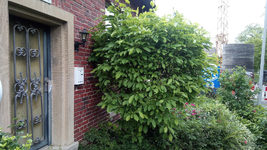 IMG_20220606_185311_0.jpg