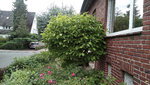 IMG_20220606_185352_9.jpg