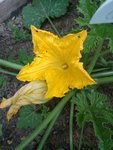 IMG_20220604_093937.jpg