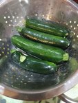 IMG_20220605_094337.jpg