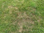 IMG_20220607_155827.jpg