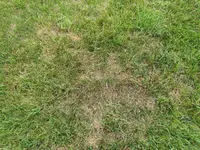 IMG_20220607_155827.webp