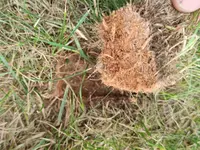 IMG_20220607_155957.webp