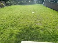 Fläche 3, unten Fläche 2.webp