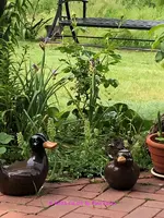 Ente 2022_06_05 IMG_3186.webp Ente 2022_06_05 IMG_3186.webp