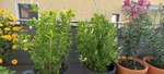 20210812_172714.jpg