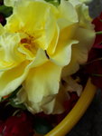20220608_131709.jpg