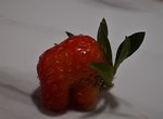 20220608_173816.jpg