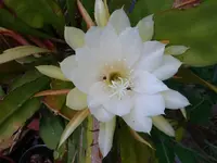 DSC02439.webp