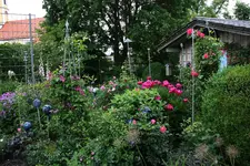 Juni      0622.webp