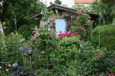 Juni      1222.webp