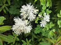 DSCF5176 (2).webp