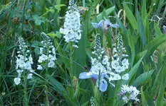 P1330739 (2).webp