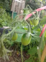 IMG_20220608_143602.webp