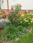 IMG_20220607_104719.jpg