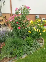 IMG_20220607_104719.webp