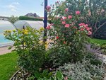 IMG_20220607_105049.jpg