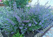 IMG_20220606_190303.webp